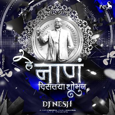 Hey Naan Distay Shobhun - DJ NeSH (Remix)